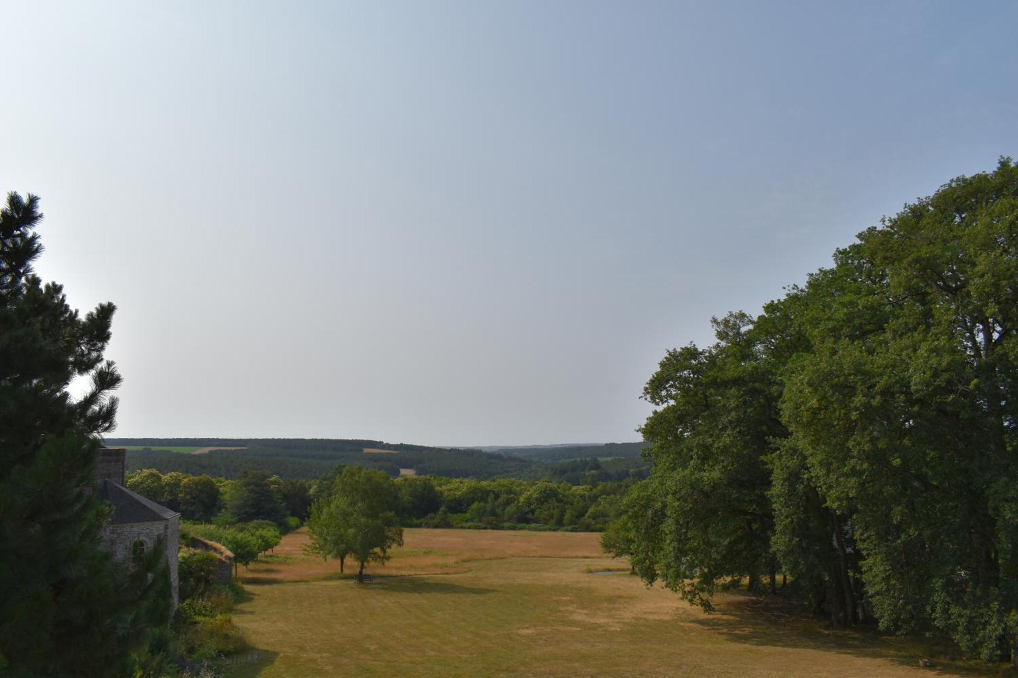 Chateau De Bezyl Sixt-sur-Aff Eksteriør billede
